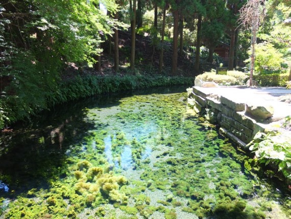 白川水源